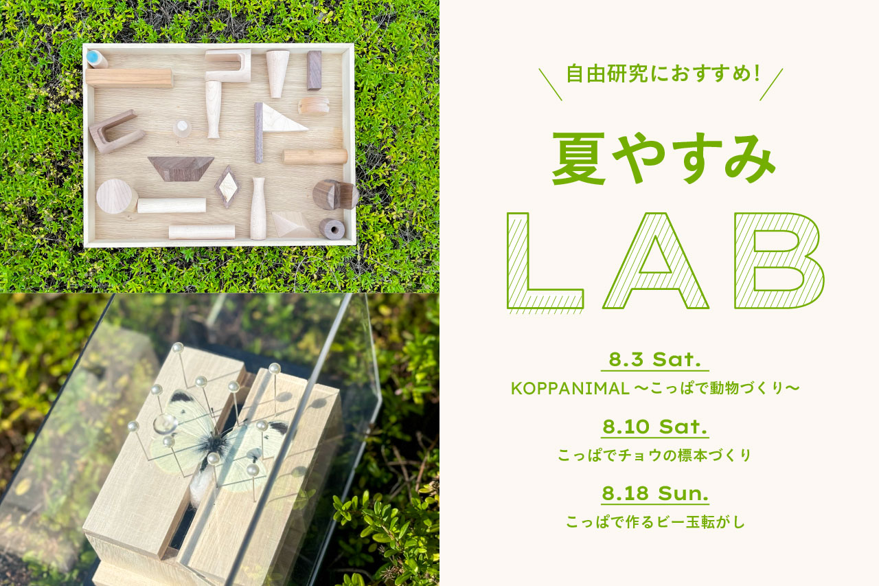 旭川デザインセンター 夏やすみLAB